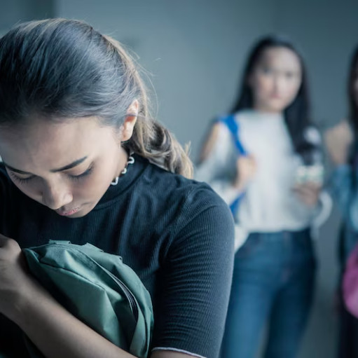 Imagem ilustrativa do curso de Bullying