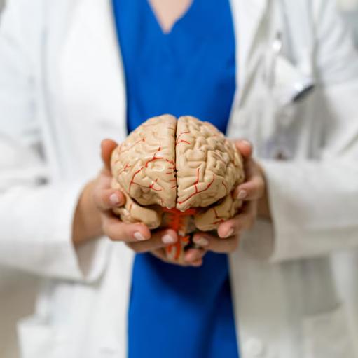 Imagem ilustrativa do curso de Neurobiologia